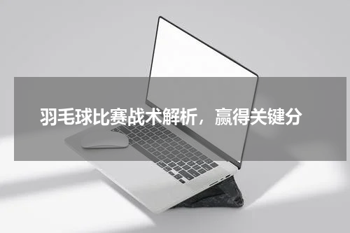  羽毛球比赛战术解析，赢得关键分