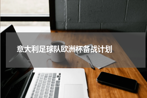  意大利足球队欧洲杯备战计划  