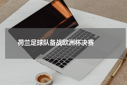  荷兰足球队备战欧洲杯决赛  