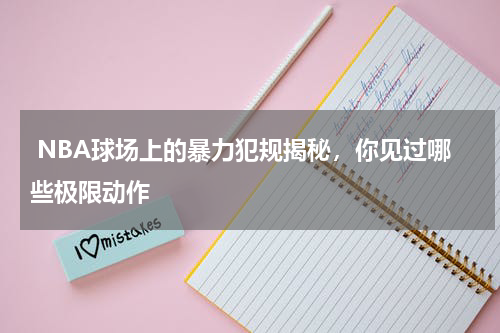  NBA球场上的暴力犯规揭秘，你见过哪些极限动作    