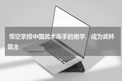  悟空亲授中国武术高手的绝学，成为武林盟主