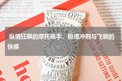  纵情狂飙的摩托高手，极速冲刺与飞驰的快感