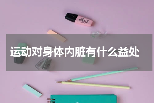  运动对身体内脏有什么益处