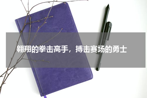  翱翔的拳击高手，搏击赛场的勇士