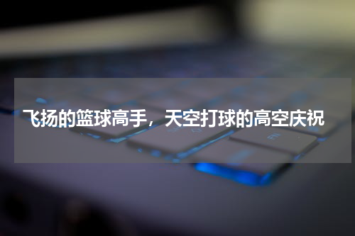  飞扬的篮球高手，天空打球的高空庆祝