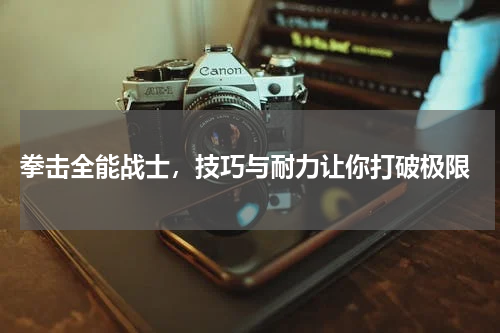  拳击全能战士，技巧与耐力让你打破极限