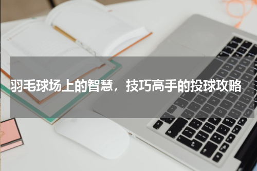  羽毛球场上的智慧，技巧高手的投球攻略