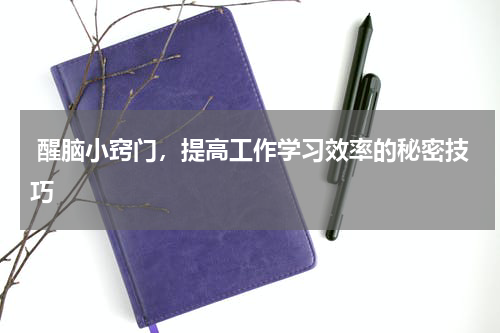  醒脑小窍门，提高工作学习效率的秘密技巧