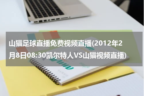 山猫足球直播免费视频直播(2012年2月8日08:30凯尔特人VS山猫视频直播)