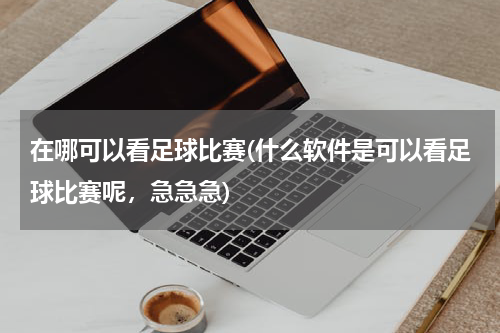在哪可以看足球比赛(什么软件是可以看足球比赛呢，急急急)