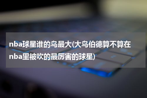 nba球星谁的鸟最大(大鸟伯德算不算在nba里被吹的最厉害的球星)