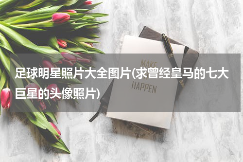 足球明星照片大全图片(求曾经皇马的七大巨星的头像照片)