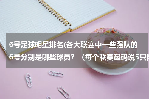 6号足球明星排名(各大联赛中一些强队的6号分别是哪些球员？（每个联赛起码说5只队）)