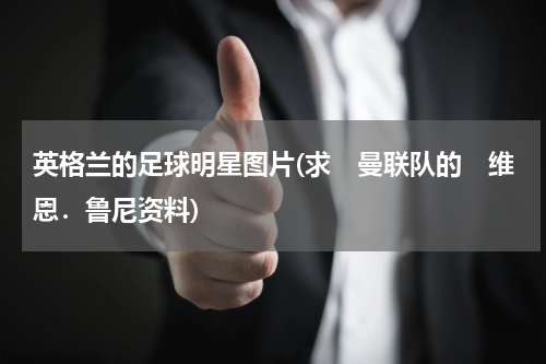 英格兰的足球明星图片(求　曼联队的　维恩．鲁尼资料)