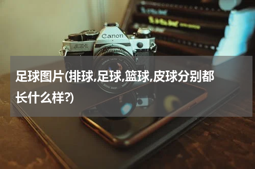 足球图片(排球,足球,篮球,皮球分别都长什么样?)