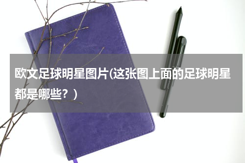 欧文足球明星图片(这张图上面的足球明星都是哪些？)