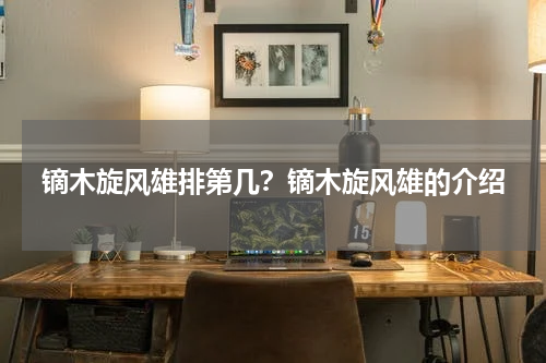 镝木旋风雄排第几？镝木旋风雄的介绍