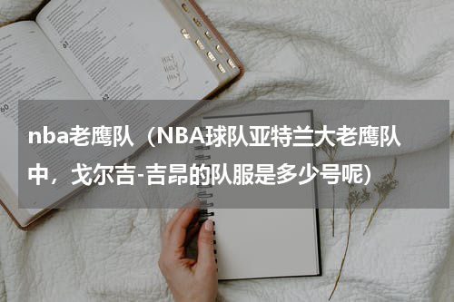 nba老鹰队（NBA球队亚特兰大老鹰队中，戈尔吉-吉昂的队服是多少号呢）