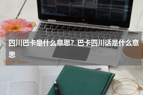 四川巴卡是什么意思？巴卡四川话是什么意思