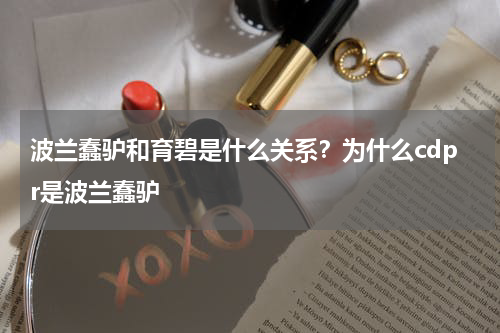 波兰蠢驴和育碧是什么关系？为什么cdpr是波兰蠢驴