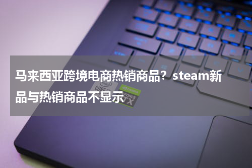 马来西亚跨境电商热销商品？steam新品与热销商品不显示