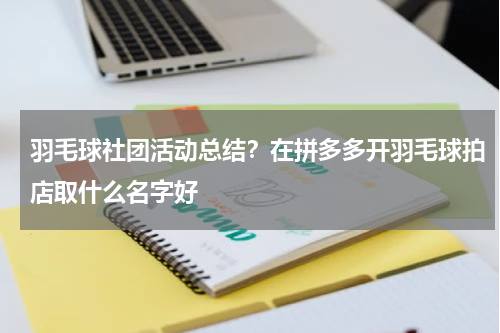 羽毛球社团活动总结？在拼多多开羽毛球拍店取什么名字好