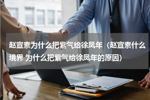 赵宣素为什么把紫气给徐凤年（赵宣素什么境界 为什么把紫气给徐凤年的原因）