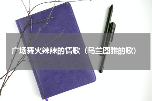 广场舞火辣辣的情歌（乌兰图雅的歌）
