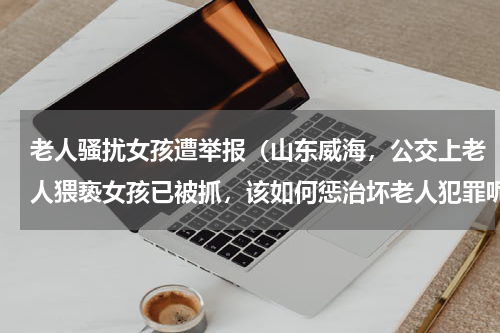 老人骚扰女孩遭举报（山东威海，公交上老人猥亵女孩已被抓，该如何惩治坏老人犯罪呢）