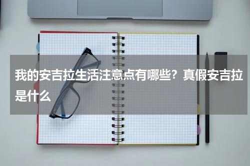 我的安吉拉生活注意点有哪些？真假安吉拉是什么