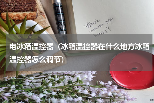 电冰箱温控器（冰箱温控器在什么地方冰箱温控器怎么调节）