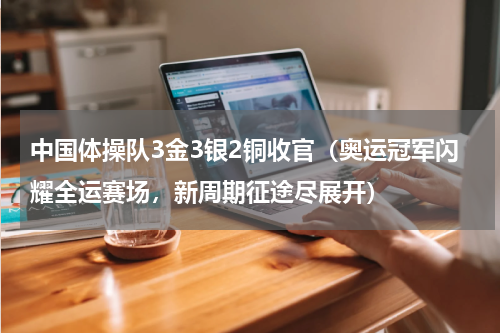 中国体操队3金3银2铜收官（奥运冠军闪耀全运赛场，新周期征途尽展开）