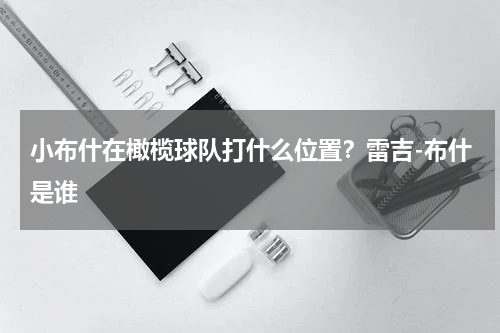 小布什在橄榄球队打什么位置？雷吉-布什是谁