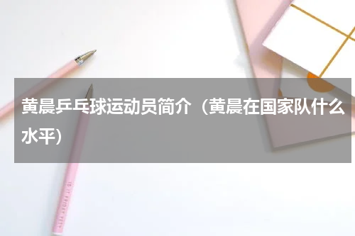 黄晨乒乓球运动员简介（黄晨在国家队什么水平）