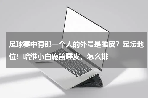 足球赛中有那一个人的外号是睡皮？足坛地位！哈维小白魔笛睡皮，怎么排