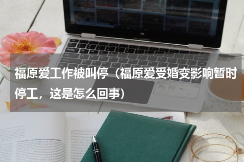 福原爱工作被叫停（福原爱受婚变影响暂时停工，这是怎么回事）