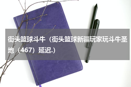 街头篮球斗牛（街头篮球新疆玩家玩斗牛圣地（467）延迟.）