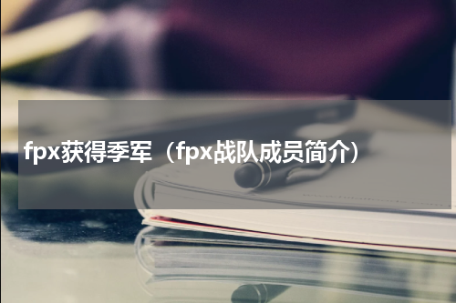 fpx获得季军（fpx战队成员简介）
