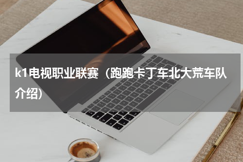 k1电视职业联赛（跑跑卡丁车北大荒车队介绍）