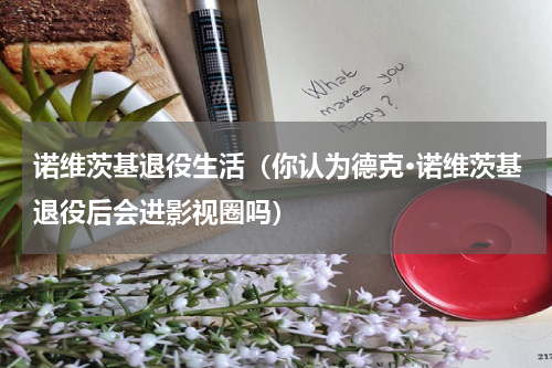 诺维茨基退役生活（你认为德克·诺维茨基退役后会进影视圈吗）