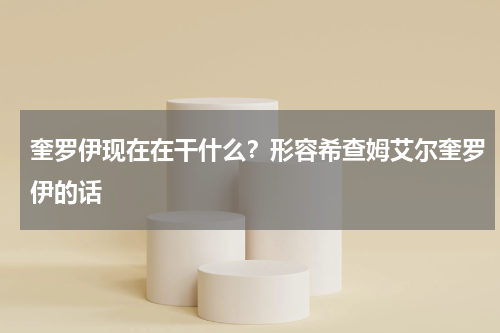 奎罗伊现在在干什么？形容希查姆艾尔奎罗伊的话