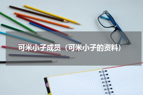可米小子成员（可米小子的资料）