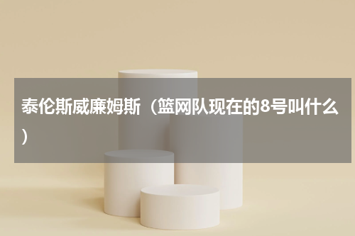 泰伦斯威廉姆斯（篮网队现在的8号叫什么）
