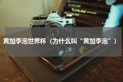 黄加李泡世界杯（为什么叫“黄加李泡”）