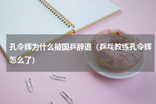 孔令辉为什么被国乒辞退（乒乓教练孔令辉怎么了）