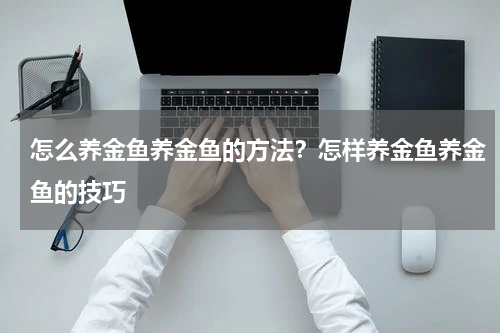 怎么养金鱼养金鱼的方法？怎样养金鱼养金鱼的技巧