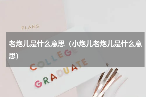 老炮儿是什么意思（小炮儿老炮儿是什么意思）