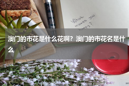 澳门的市花是什么花啊？澳门的市花名是什么