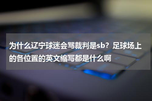 为什么辽宁球迷会骂裁判是sb？足球场上的各位置的英文缩写都是什么啊