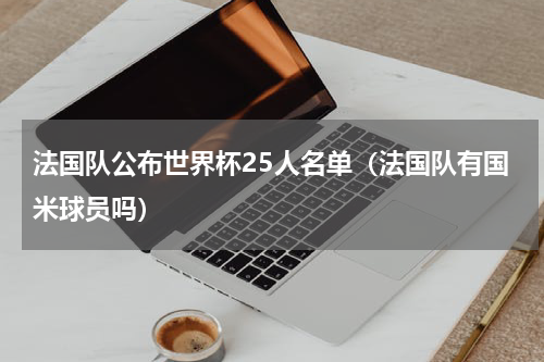 法国队公布世界杯25人名单（法国队有国米球员吗）
